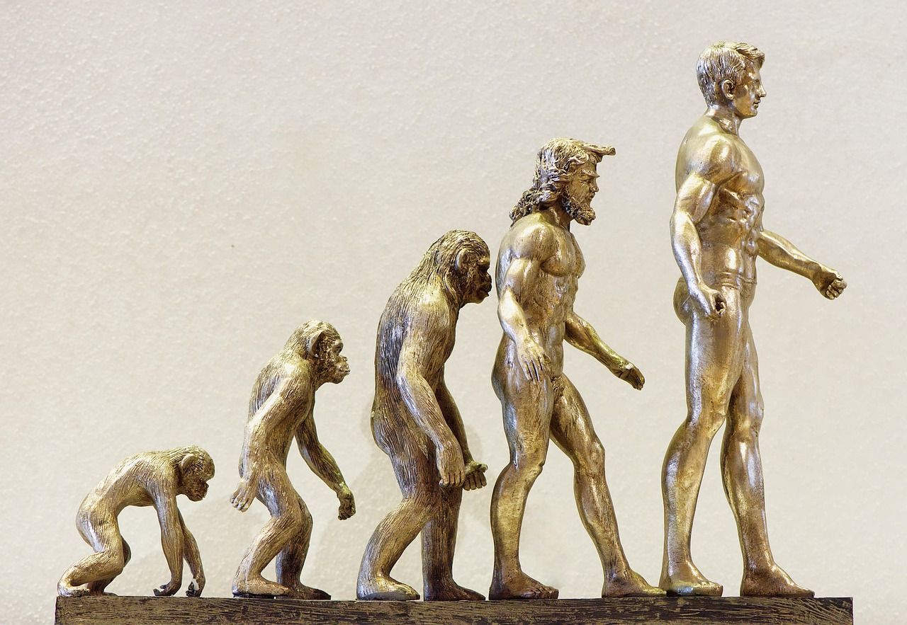 découvrez l'évolution du congé parental en france, ses réformes récentes et son impact sur les familles.