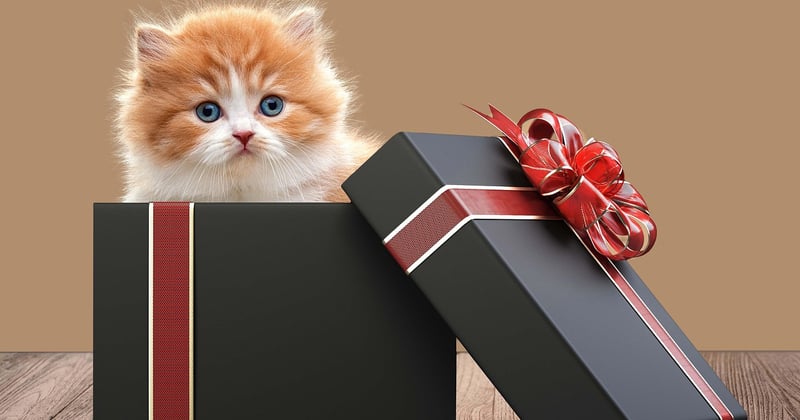 30 idées cadeaux naissance personnalisés bébé qui feront plaisir
