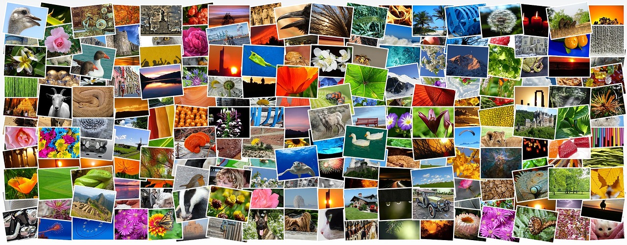 Quand et comment recevoir votre album photo à Vaud en 2025 ?