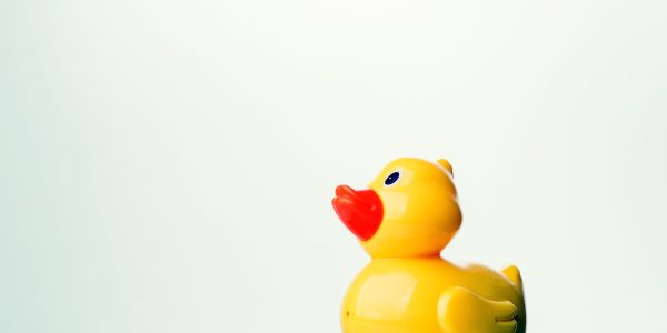 découvrez notre sélection de jouets pour bébés, conçus pour stimuler le développement et l'éveil de votre enfant. des jouets sûrs, colorés et interactifs qui accompagnent les tout-petits dans leurs premières découvertes.