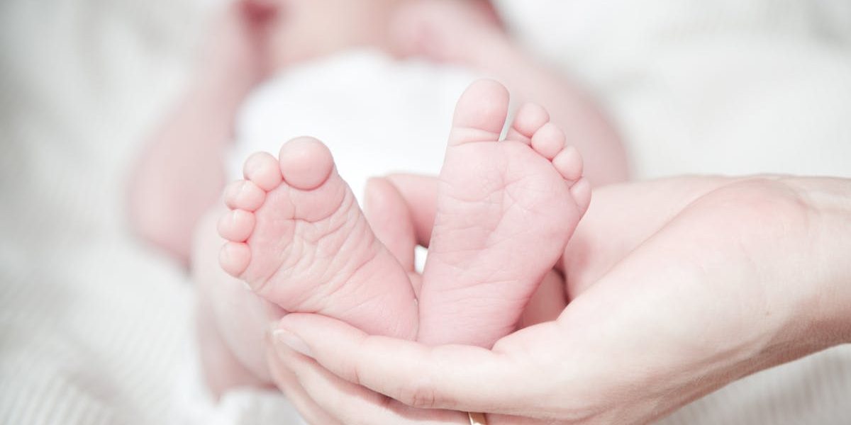 découvrez le merveilleux voyage de la naissance, un moment magique qui marque le début de la vie. explorez les enjeux émotionnels et biologiques, ainsi que les diverses traditions culturelles entourant cet événement unique.