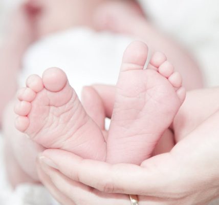 découvrez le merveilleux voyage de la naissance, un moment magique qui marque le début de la vie. explorez les enjeux émotionnels et biologiques, ainsi que les diverses traditions culturelles entourant cet événement unique.
