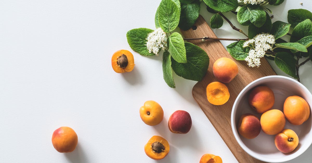 découvrez l'importance de la nutrition pour une vie saine. apprenez à équilibrer vos repas, à choisir des aliments bénéfiques et à adopter des habitudes alimentaires qui favorisent votre bien-être physique et mental.