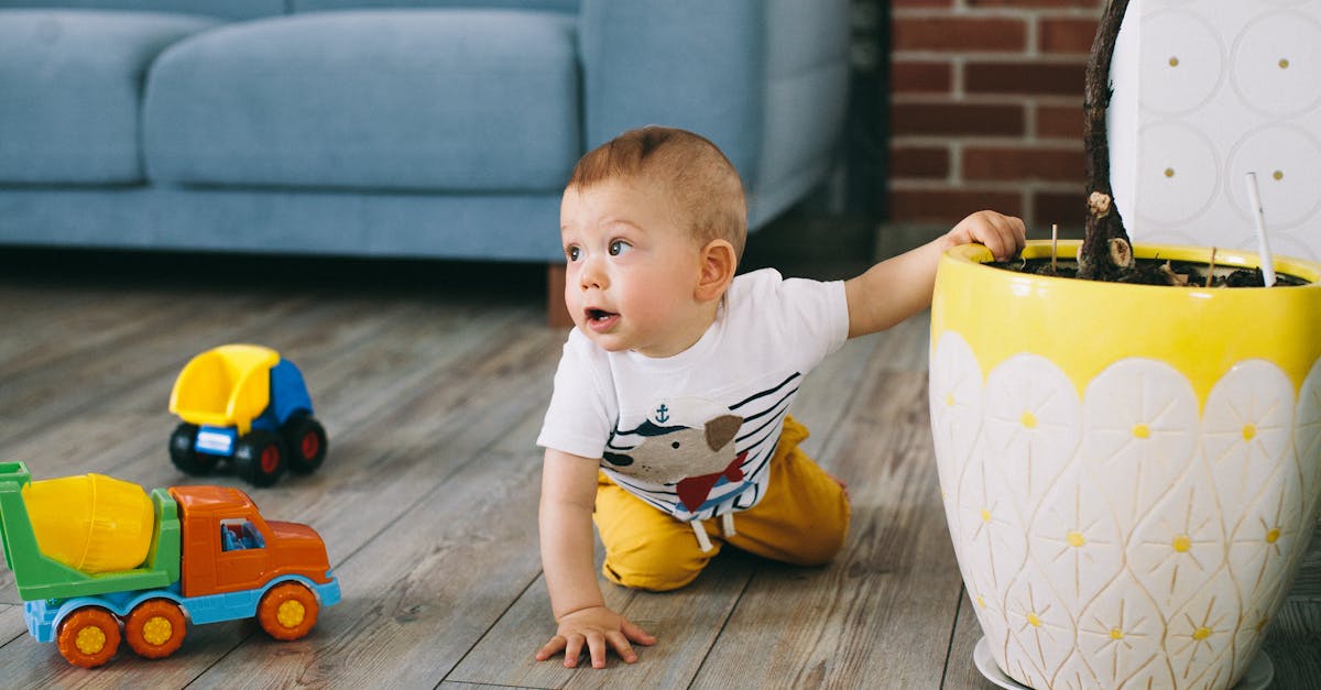dĂ©couvrez notre collection de vĂȘtements pour enfants alliant style, confort et qualitĂ©. offrez Ă vos petits des tenues tendance pour chaque occasion, de la sortie en famille aux jeux au parc. explorez notre sĂ©lection dĂšs maintenant!