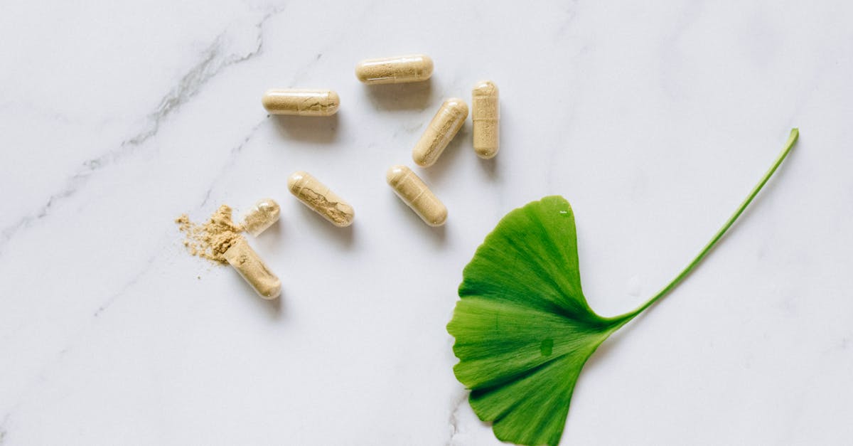 découvrez tout sur les médicaments : leur utilisation, les effets secondaires, les précautions à prendre et les alternatives naturelles. informez-vous pour une santé optimale.