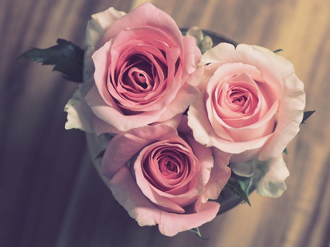 capturez l'essence de votre amour avec notre séance photo d'engagement. immortalisez ces moments précieux et intimes avant le grand jour, tout en créant des souvenirs inoubliables à partager avec vos proches.