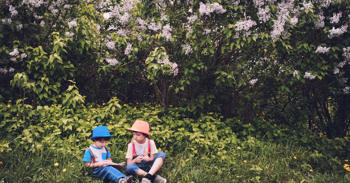 découvrez l'importance d'un environnement familial sain et harmonieux pour le développement des enfants et le bien-être de chaque membre de la famille. explorez des conseils pratiques pour créer un cadre chaleureux, stimulant et sécurisant où chaque membre se sent épanoui et soutenu.