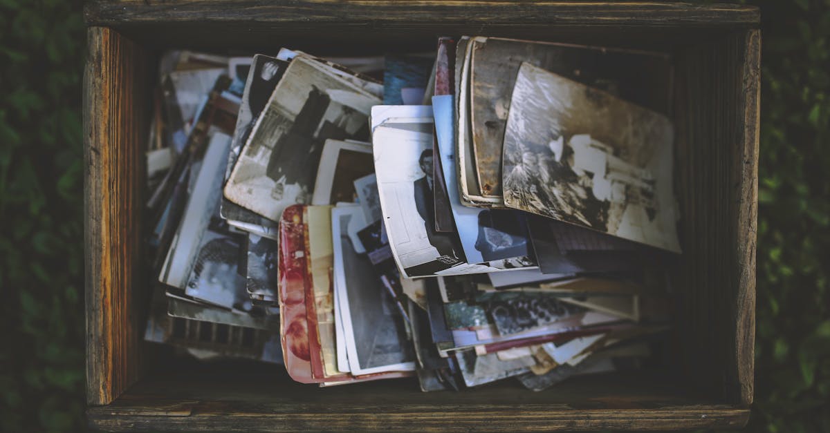 découvrez l'importance des souvenirs dans notre vie quotidienne. explorez comment les expériences passées façonnent notre identité et influencent nos choix futurs, tout en préservant les moments précieux pour les générations à venir.