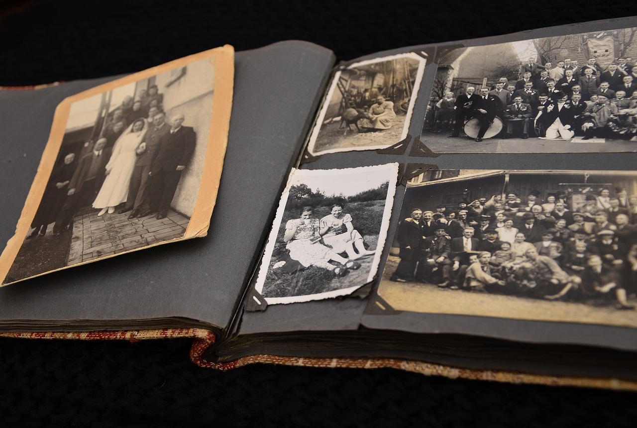 découvrez notre album photo, un espace dédié pour capturer et préserver vos souvenirs les plus précieux. explorez des moments inoubliables à travers des images uniques, que ce soit pour des événements spéciaux, des voyages ou des instants du quotidien. créez votre propre histoire visuelle et partagez-la avec vos proches.