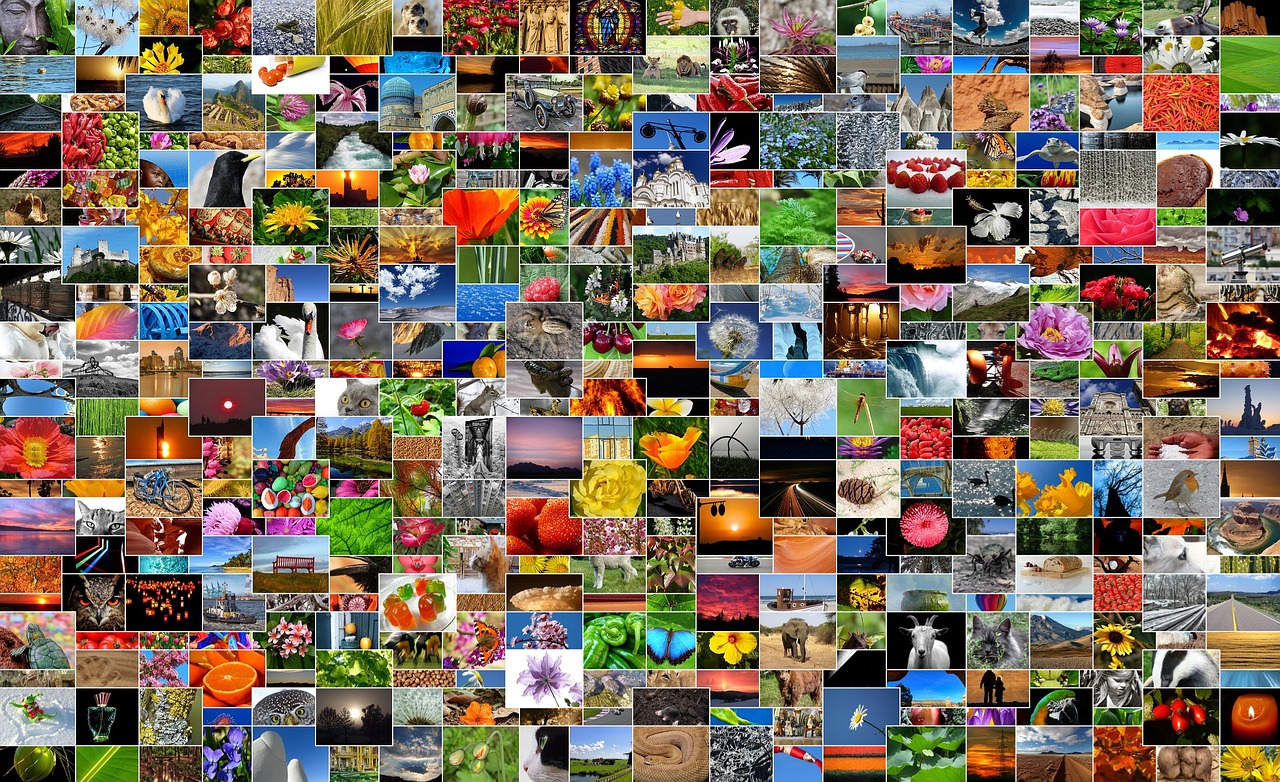 découvrez notre album photo unique, où chaque image raconte une histoire et préserve vos souvenirs les plus précieux. explorez des moments inoubliables capturés avec soin et partagez vos émotions à travers nos galeries enrichissantes.