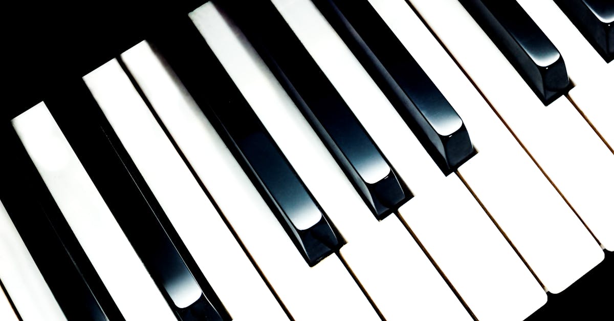 découvrez l'importance de l'éducation musicale et son impact sur le développement des compétences artistiques, cognitives et sociales. plongez dans l'univers de la musique et apprenez comment stimuler la créativité et l'expression personnelle à travers des méthodes d'enseignement interactives et inspirantes.