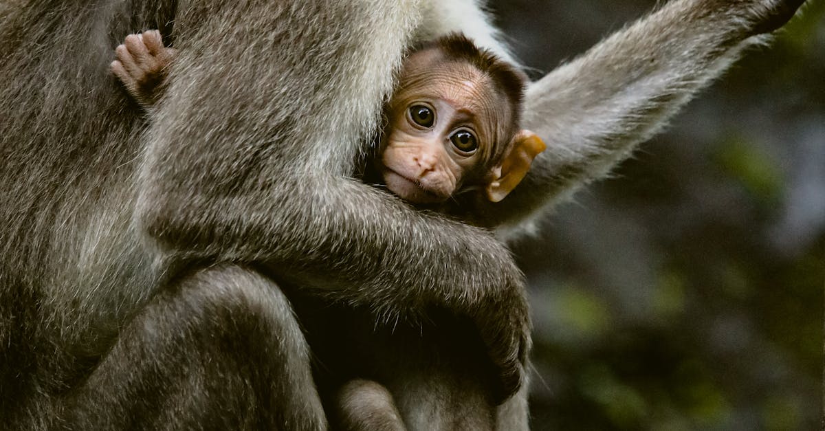 découvrez l'approche du parental respectueux, qui favorise la communication bienveillante, l'écoute active et le développement harmonieux de l'enfant. apprenez à instaurer un climat familial serein et épanouissant où chaque membre se sent valorisé et compris.