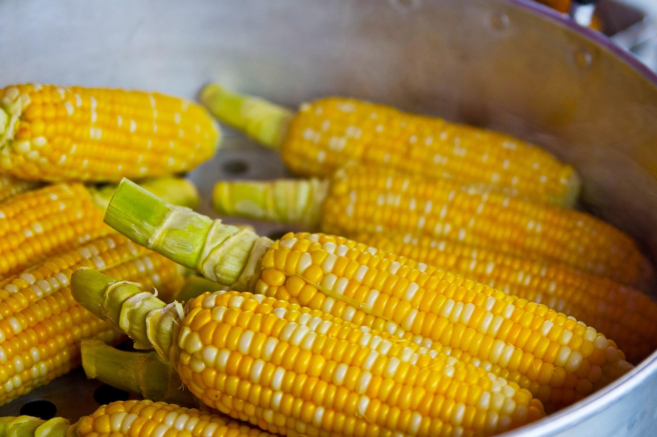 dĂ©couvrez nos conseils et astuces sur la nutrition pour amĂ©liorer votre santĂ©, adopter une alimentation Ă©quilibrĂ©e et atteindre vos objectifs bien-ĂȘtre au quotidien.