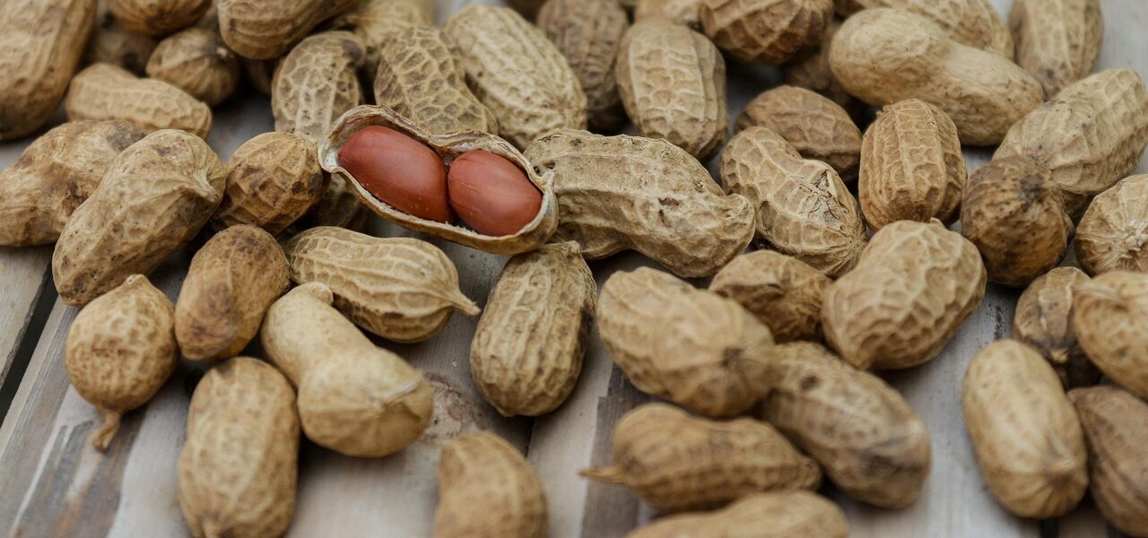 découvrez des conseils pratiques, des recettes équilibrées et des informations fiables sur la nutrition pour adopter un mode de vie sain et améliorer votre bien-être au quotidien.