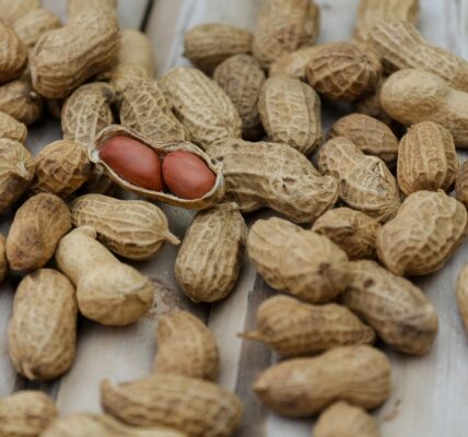 découvrez des conseils pratiques, des recettes équilibrées et des informations fiables sur la nutrition pour adopter un mode de vie sain et améliorer votre bien-être au quotidien.