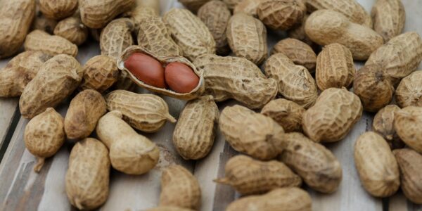 découvrez des conseils pratiques, des recettes équilibrées et des informations fiables sur la nutrition pour adopter un mode de vie sain et améliorer votre bien-être au quotidien.