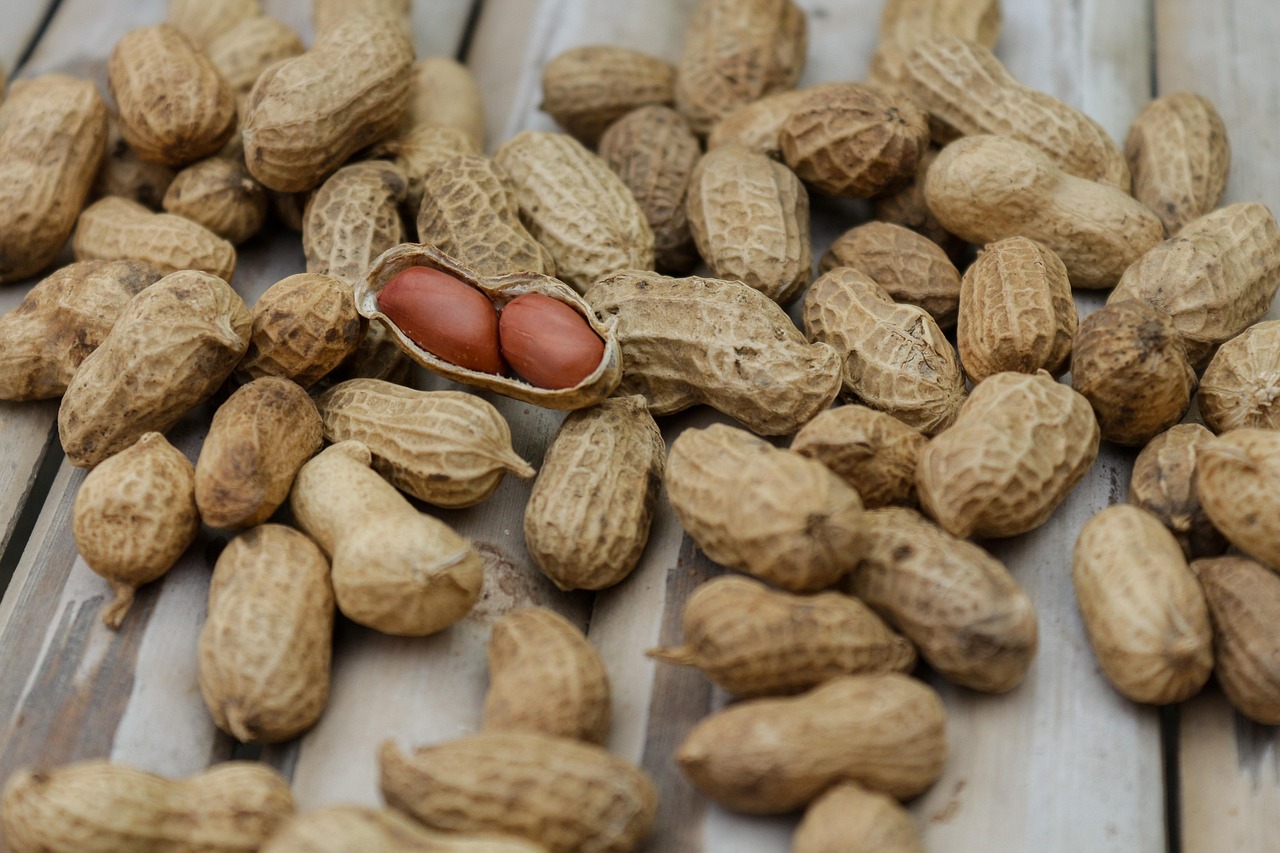 découvrez des conseils pratiques, des recettes équilibrées et des informations fiables sur la nutrition pour adopter un mode de vie sain et améliorer votre bien-être au quotidien.