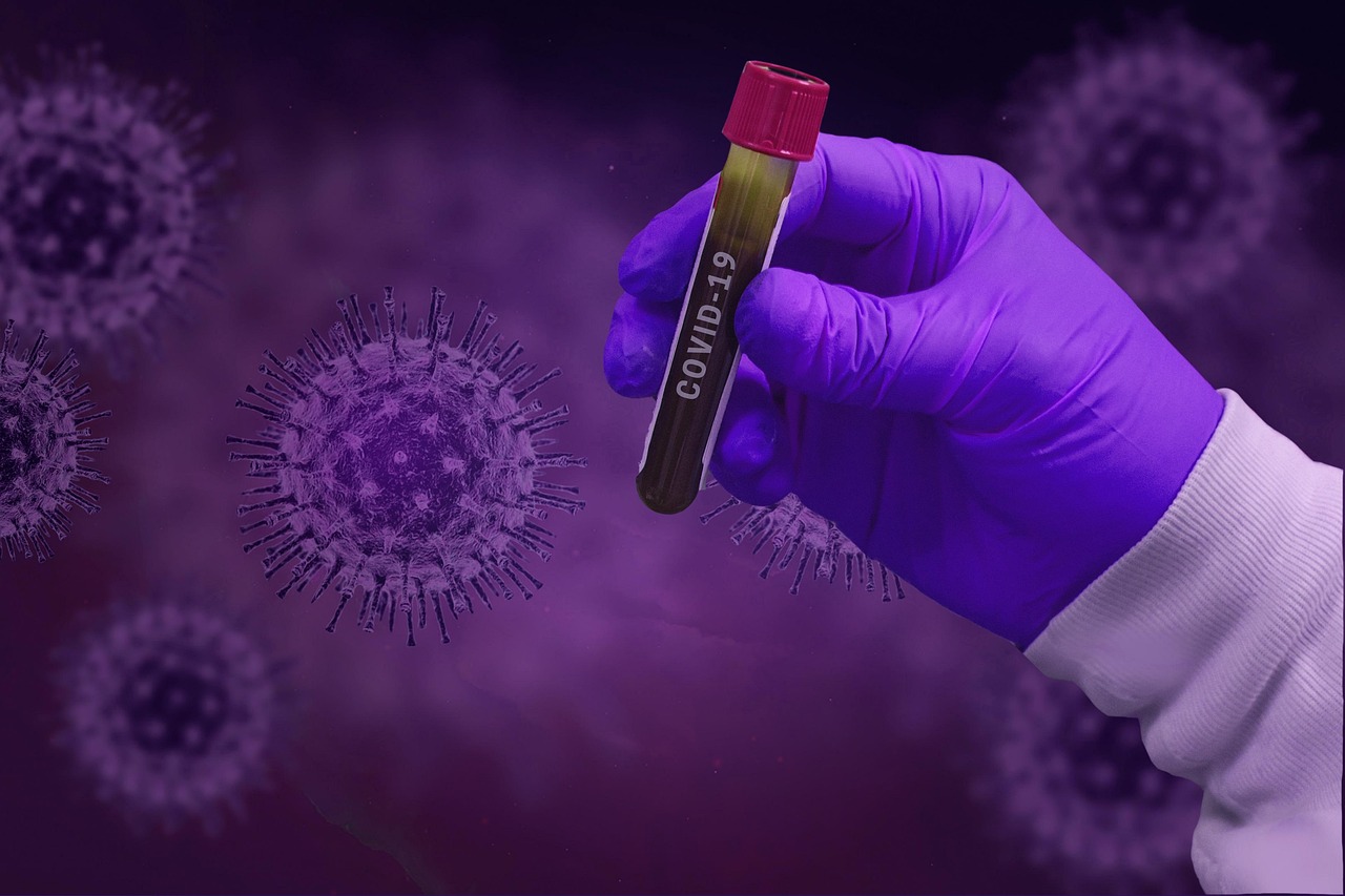 découvrez les principaux examens médicaux réalisés pendant la grossesse, leur utilité, le déroulement de chaque test et leur importance pour la santé de la maman et du bébé.