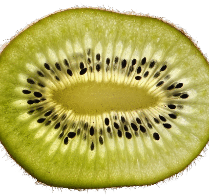 découvrez tout ce qu'il faut savoir sur la césarienne : définition, indications, déroulement et conseils pour une récupération optimale.