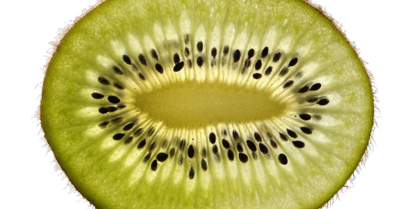 découvrez tout ce qu'il faut savoir sur la césarienne : définition, indications, déroulement et conseils pour une récupération optimale.