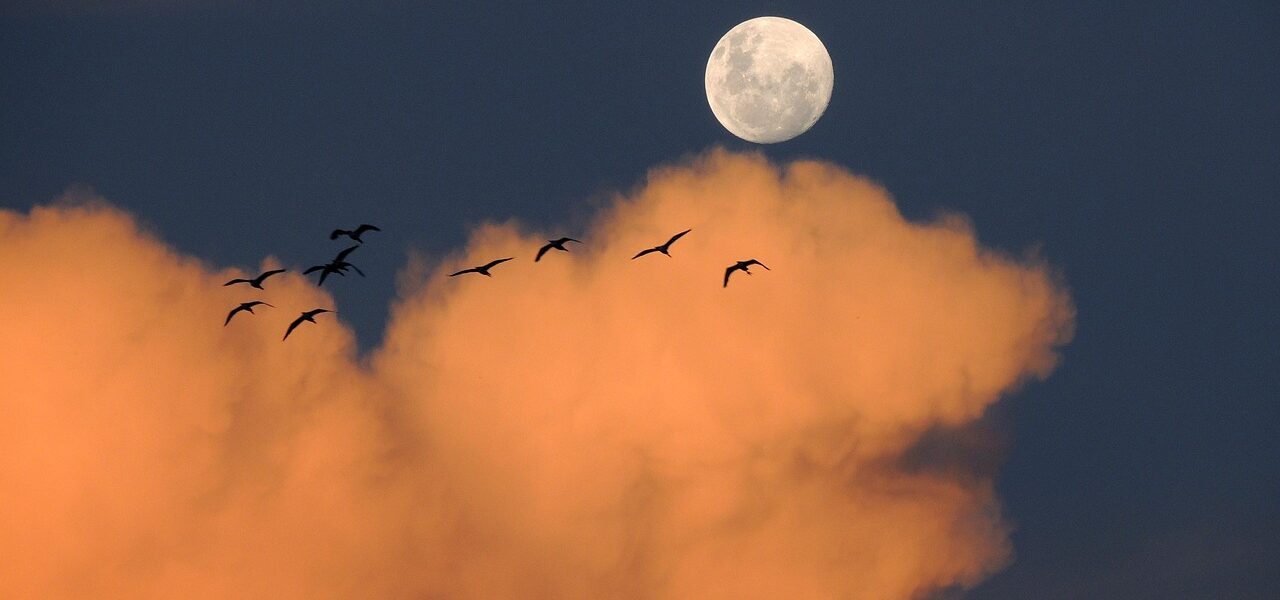 découvrez le rôle essentiel du père pendant l'accouchement, son soutien émotionnel et son implication pour accompagner la future maman.