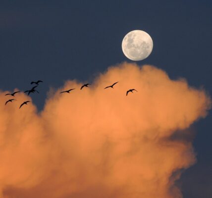 découvrez le rôle essentiel du père pendant l'accouchement, son soutien émotionnel et son implication pour accompagner la future maman.
