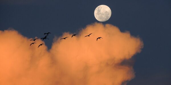 découvrez le rôle essentiel du père pendant l'accouchement, son soutien émotionnel et son implication pour accompagner la future maman.