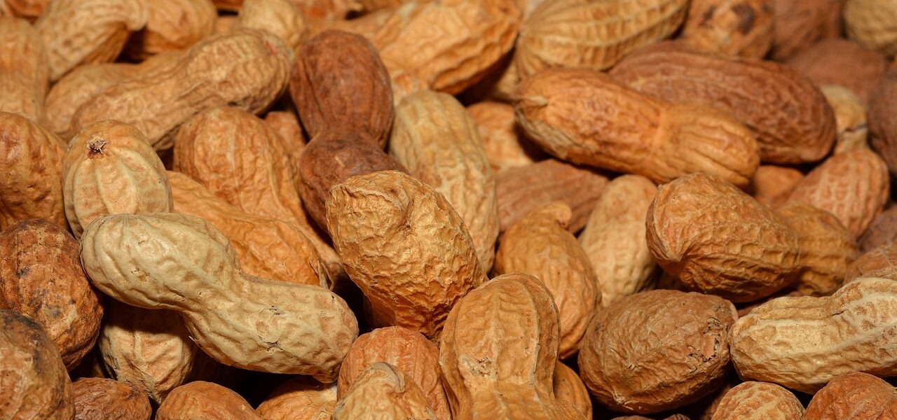 découvrez des idées de snacks sains et délicieux pour une fête d'anniversaire équilibrée et gourmande, adaptés à tous les âges.