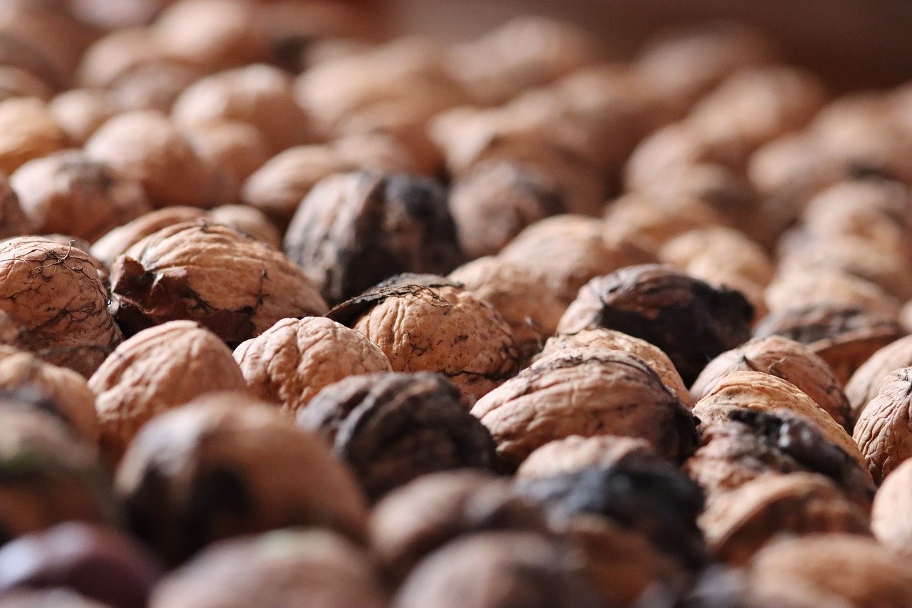 découvrez des idées de snacks sains et délicieux pour un anniversaire réussi, alliant plaisir et bien-être pour petits et grands.