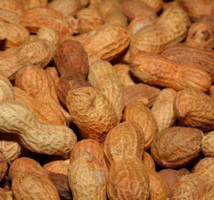 découvrez des idées de snacks sains et délicieux pour une fête d'anniversaire équilibrée et gourmande, adaptés à tous les âges.