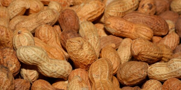 découvrez des idées de snacks sains et délicieux pour une fête d'anniversaire équilibrée et gourmande, adaptés à tous les âges.