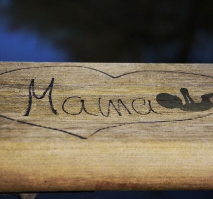 découvrez des conseils pratiques pour gérer vos émotions pendant la grossesse et vivre cette période de manière sereine et équilibrée.