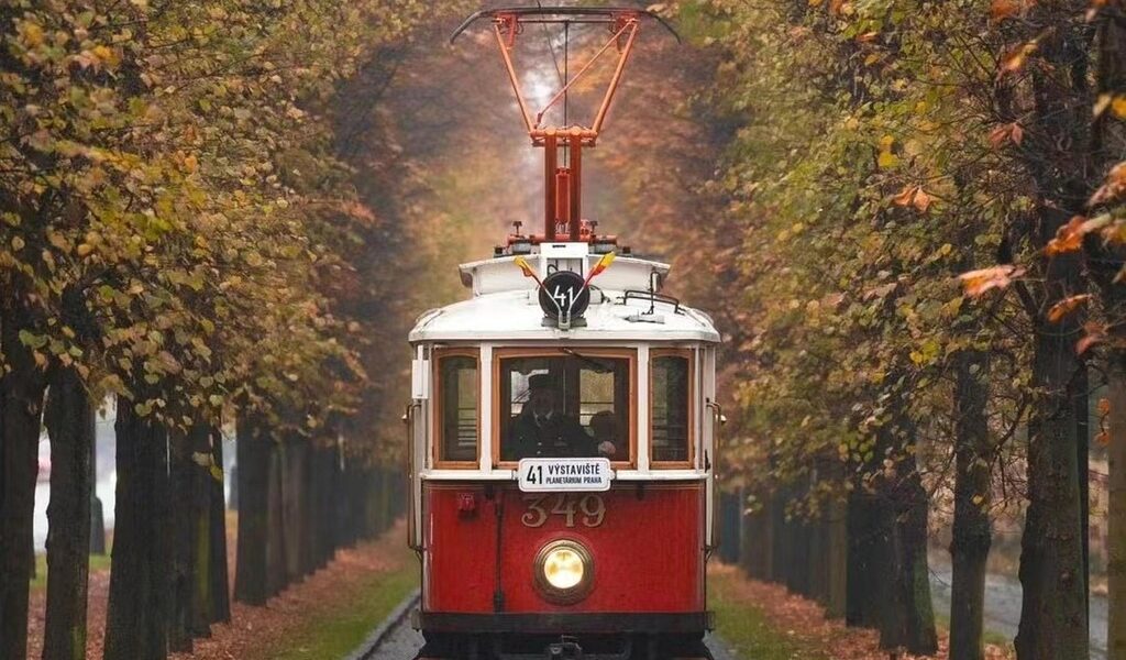 informations importantes sur les rappels de produits : sécurité, procédures et conseils pour les consommateurs.