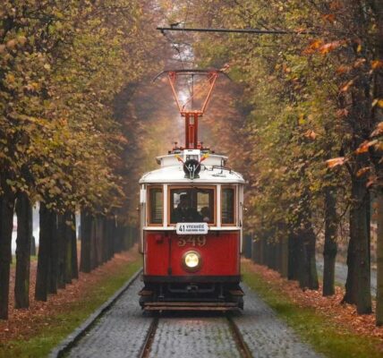 informations importantes sur les rappels de produits : sécurité, procédures et conseils pour les consommateurs.